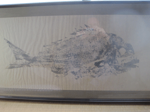 f:id:mikota_junichi_jcp:20130117231709g:image