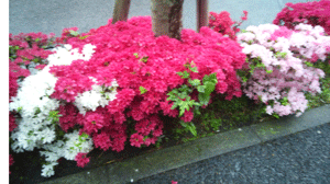 f:id:mikota_junichi_jcp:20130420225354g:image