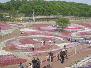 f:id:mikota_junichi_jcp:20130506215454g:image