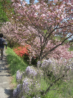 f:id:mikota_junichi_jcp:20130506215455g:image