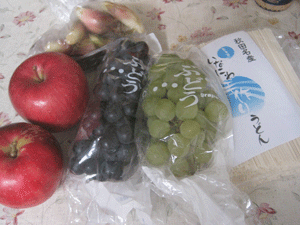 f:id:mikota_junichi_jcp:20131010223724g:image