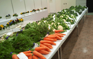 f:id:mikota_junichi_jcp:20131207234213g:image f:id:mikota_junichi_jcp:20131207234213g:image