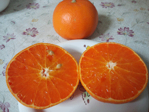 f:id:mikota_junichi_jcp:20140329231252g:image