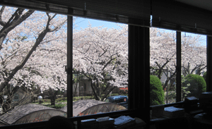 f:id:mikota_junichi_jcp:20140331230438g:image