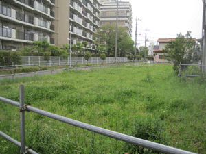 f:id:mikota_junichi_jcp:20160428230953g:image