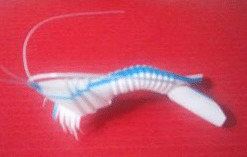 f:id:mikota_junichi_jcp:20160726230722g:image f:id:mikota_junichi_jcp:20160726230722g:image