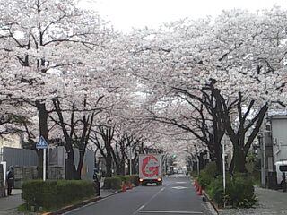 f:id:mikota_junichi_jcp:20170408230957j:image