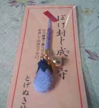 f:id:mikota_junichi_jcp:20170529234129j:image