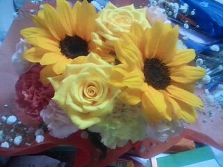 f:id:mikota_junichi_jcp:20170618231133j:image