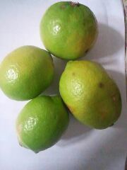 f:id:mikota_junichi_jcp:20171111225858j:image