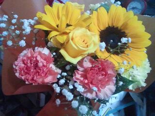 f:id:mikota_junichi_jcp:20180617222212j:image