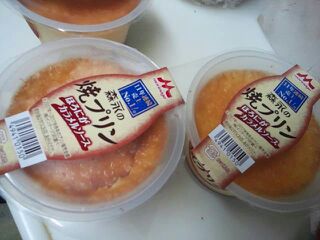 f:id:mikota_junichi_jcp:20180617222243j:image