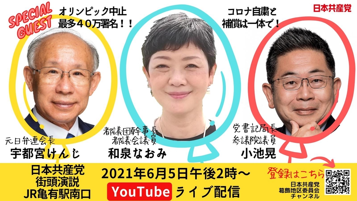 f:id:mikota_junichi_jcp:20210531224648j:plain