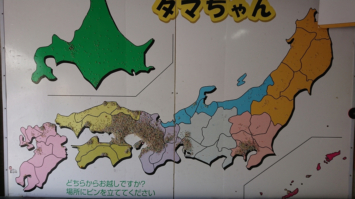 f:id:mikoteka:20220330222646j:plain