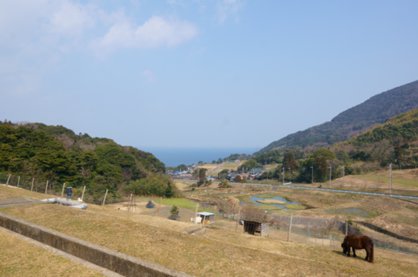 f:id:mikoteka:20220416185052p:plain