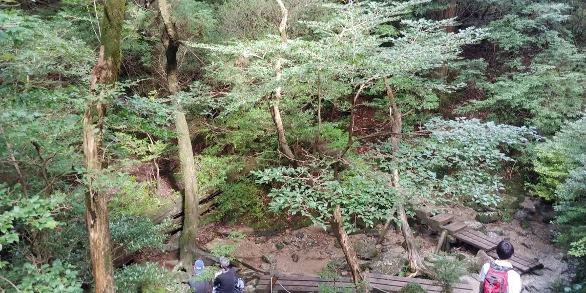 f:id:miku778:20200510223058j:plain f:id:miku778:20200510223058j:plain