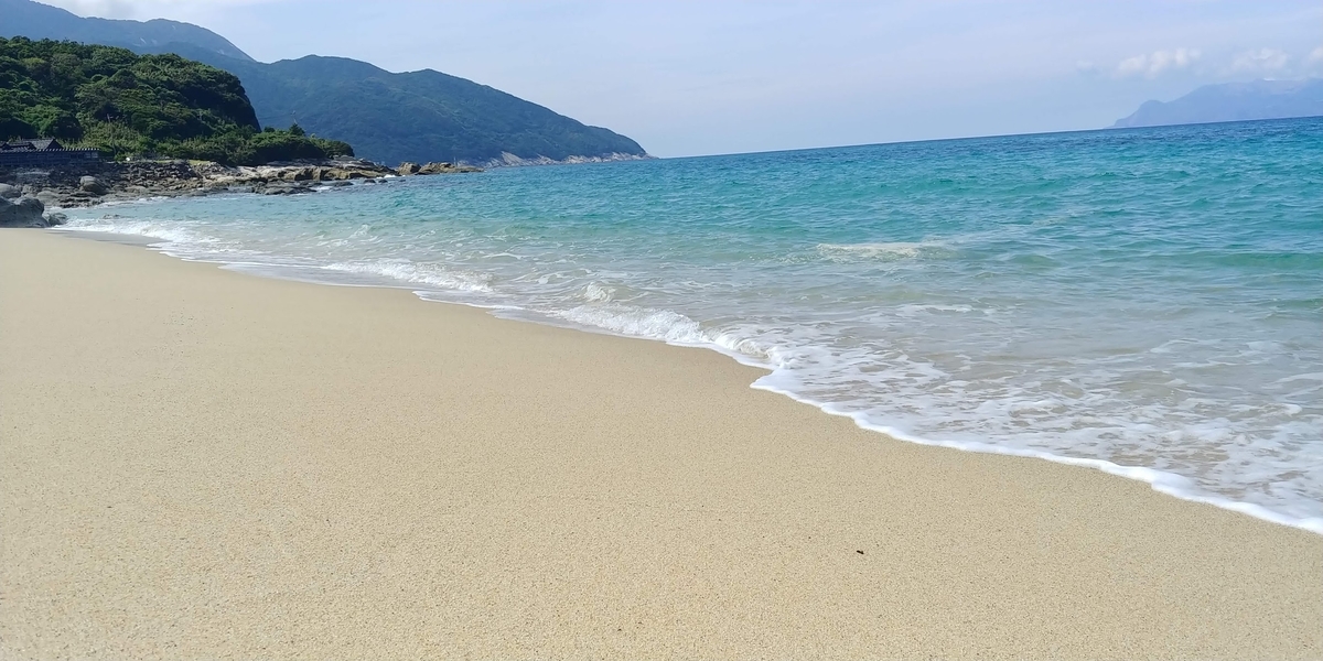 f:id:miku778:20200510231941j:plain f:id:miku778:20200510231941j:plain