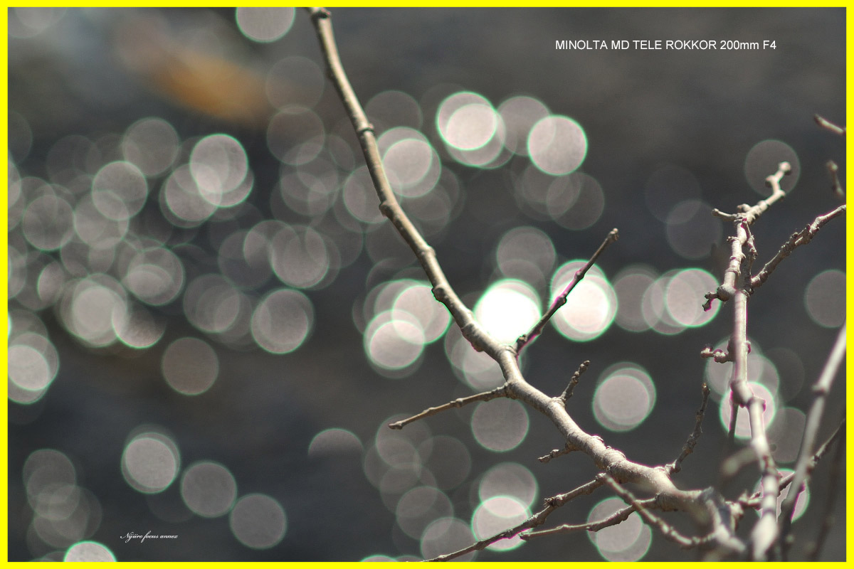 ミノルタ 「MD TELE ROKKOR 200mm F4」ちょっと整備、ちょっと作例
