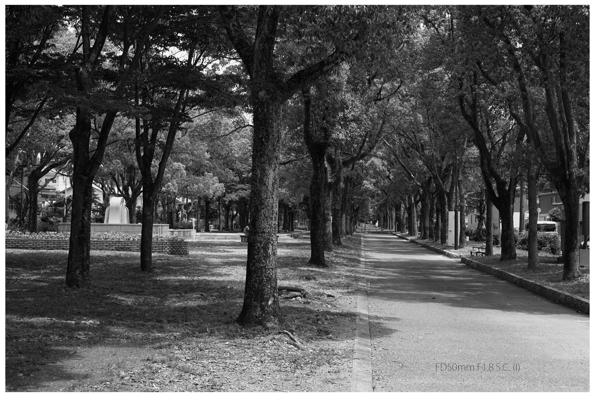 Canon fd 50mm f/1.8 fd単焦点レンズ 作例あり オールドレンズ】レビュー：CANON FD 50mm F1.8 手軽に安価な