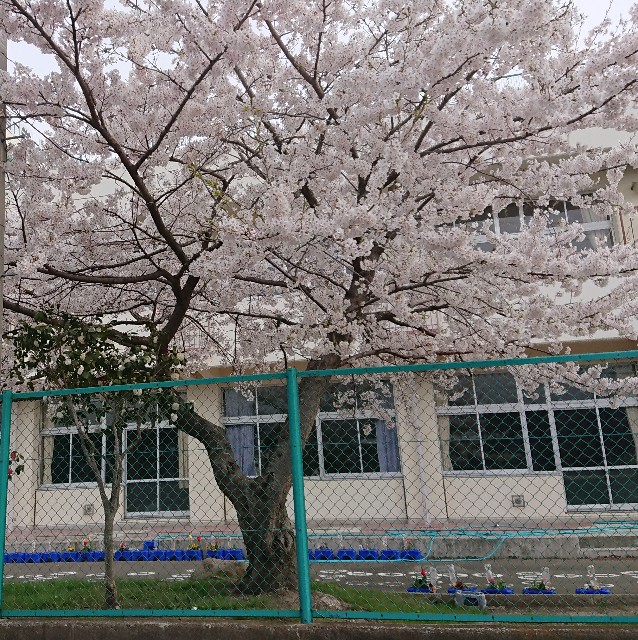 f:id:mikujin2198:20180411074032j:image f:id:mikujin2198:20180411074032j:image