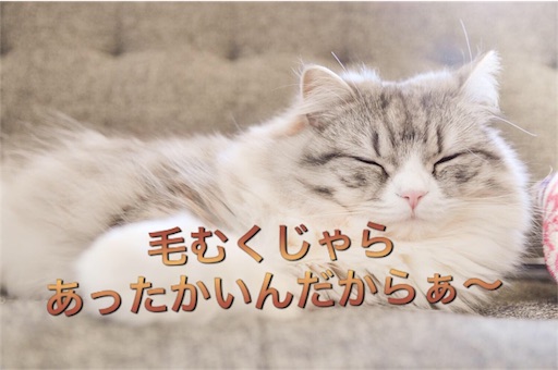 新生児の体毛が多い 毛深い背中は将来どうなるのか検証 時短勤務で働くママ Vs 3人育児とちょいぽちゃ旦那