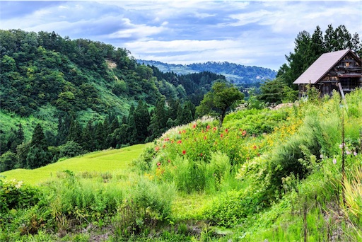 f:id:mikumama:20160111094223j:image f:id:mikumama:20160111094223j:image