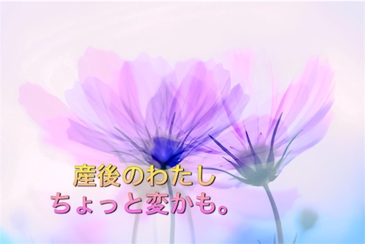 f:id:mikumama:20160229082349j:image