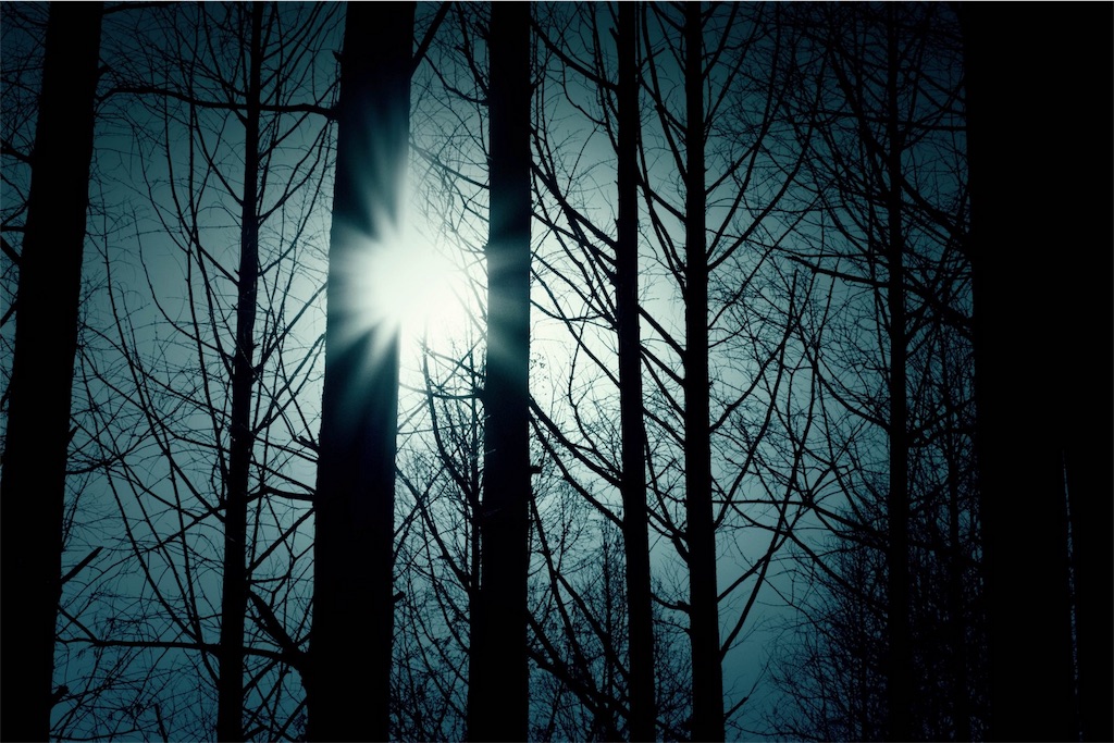 f:id:mikumama:20161224123237j:image