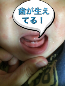 f:id:mikumama:20170926174816p:plain