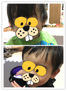 f:id:mikumama:20170929164436j:plain