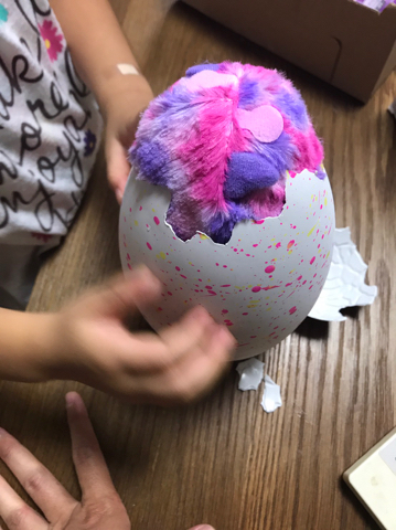 f:id:mikumama:20171023123111j:plain f:id:mikumama:20171023123111j:plain