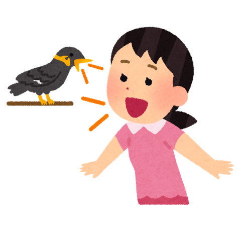 f:id:mikumama:20180803133415j:plain