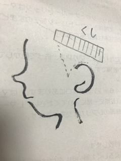 f:id:mikumama:20180803142257j:plain f:id:mikumama:20180803142257j:plain