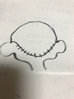 f:id:mikumama:20180803142322j:plain f:id:mikumama:20180803142322j:plain