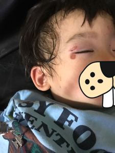 f:id:mikumama:20180803173934j:plain