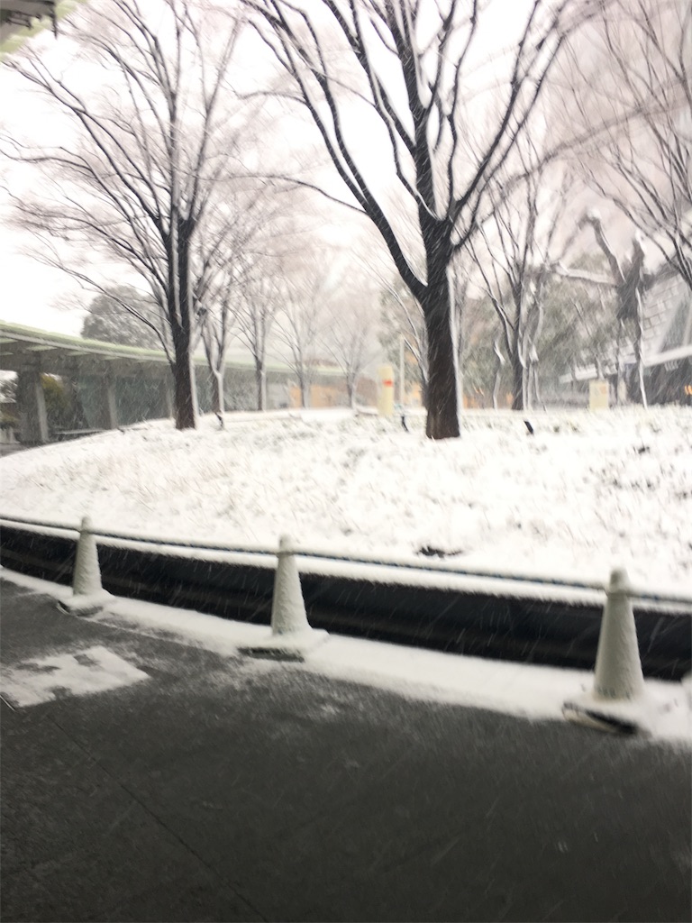 f:id:mikutan552:20180122162759j:image f:id:mikutan552:20180122162759j:image