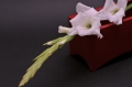 f:id:mikutan552:20180224013158j:plain f:id:mikutan552:20180224013158j:plain
