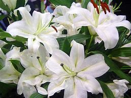 f:id:mikutan552:20180310235736j:plain f:id:mikutan552:20180310235736j:plain
