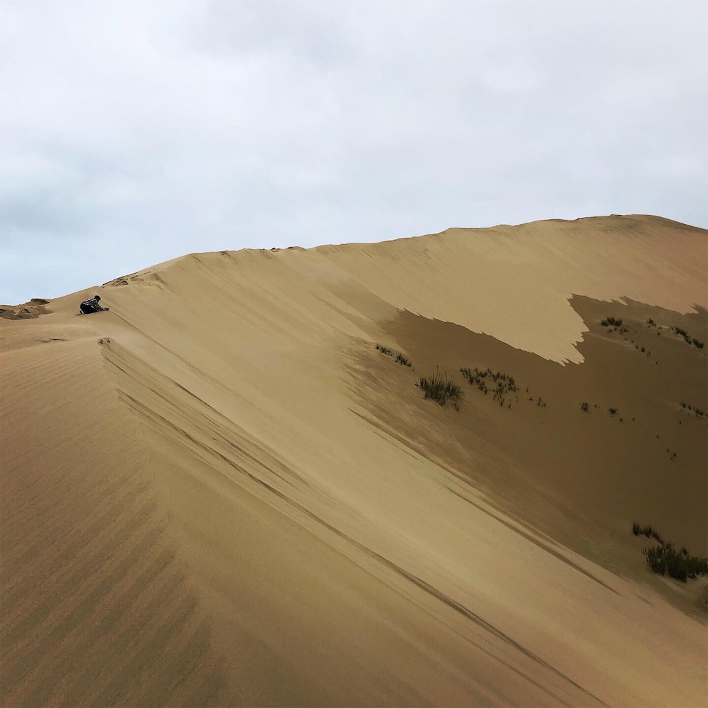 f:id:mikutksk:20191218182737j:image f:id:mikutksk:20191218182737j:image