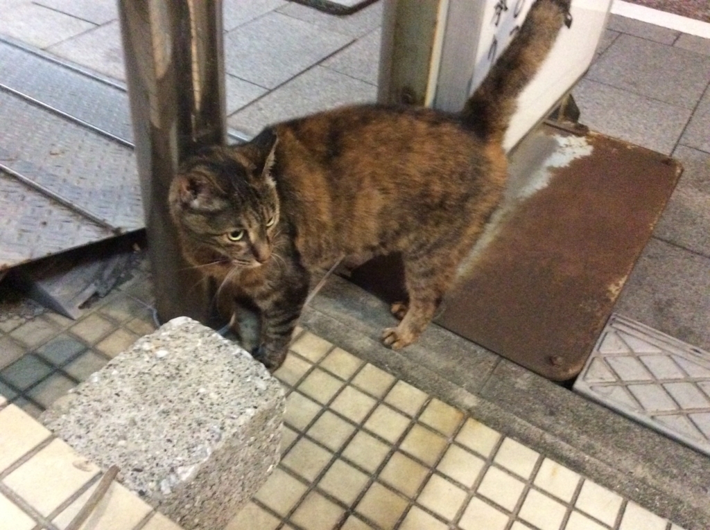 f:id:mikyo-ya:20180713100045j:plain