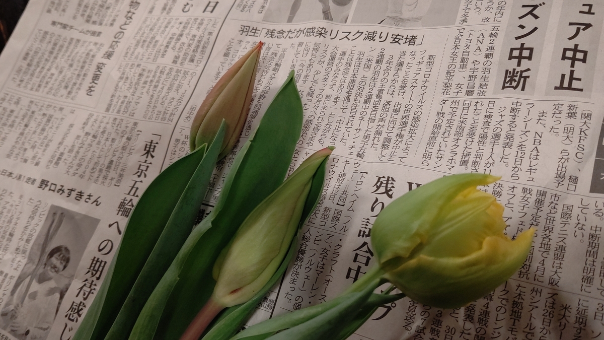 f:id:mikyo-ya:20200325112213j:plain f:id:mikyo-ya:20200325112213j:plain