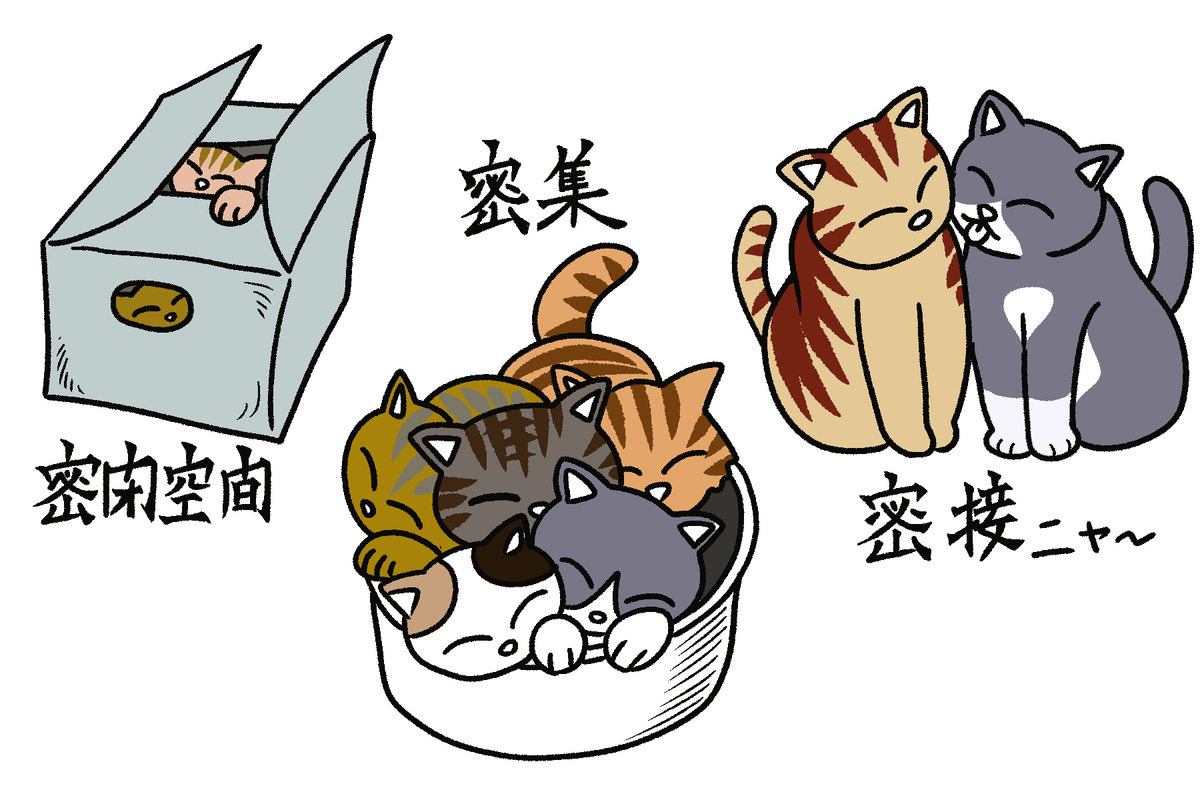 f:id:mikyo-ya:20200529105100j:plain