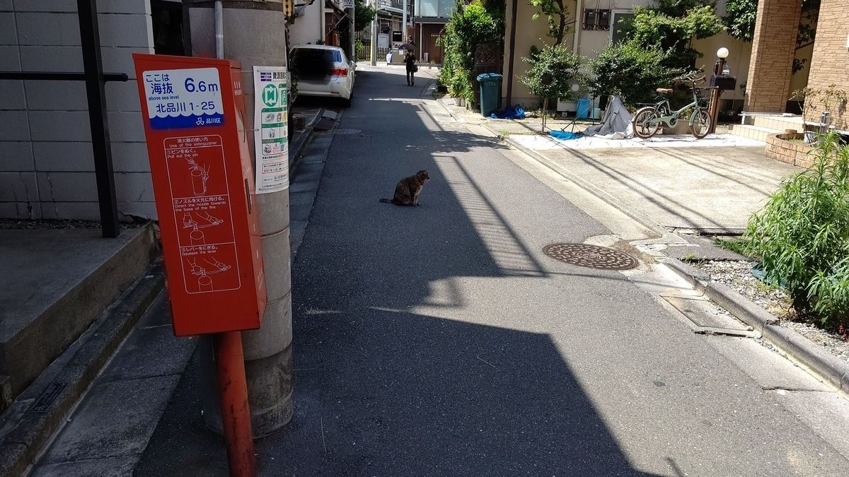 f:id:mikyo-ya:20200629110731j:plain