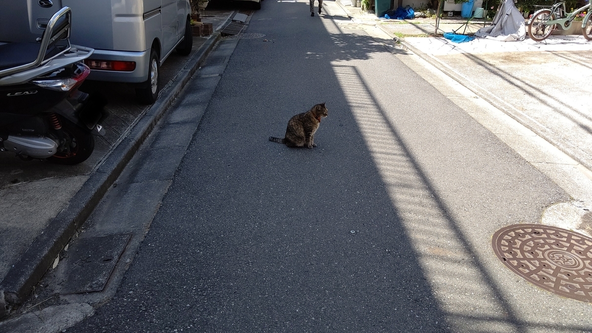 f:id:mikyo-ya:20200629110842j:plain