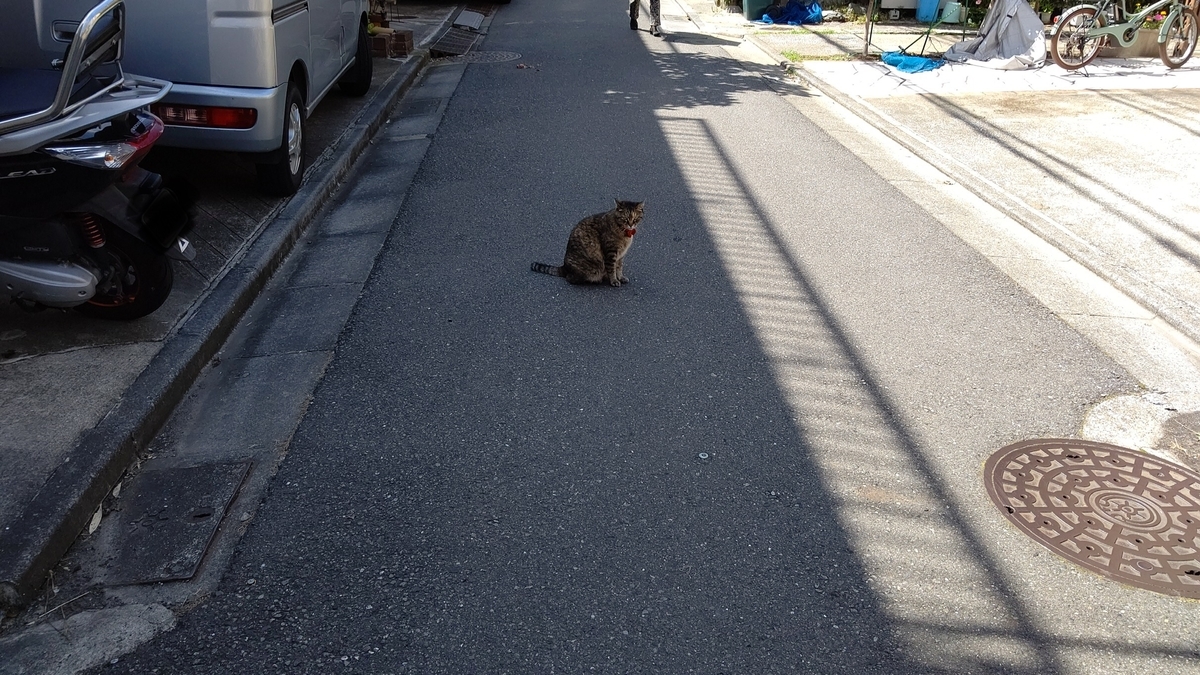 f:id:mikyo-ya:20200629110919j:plain