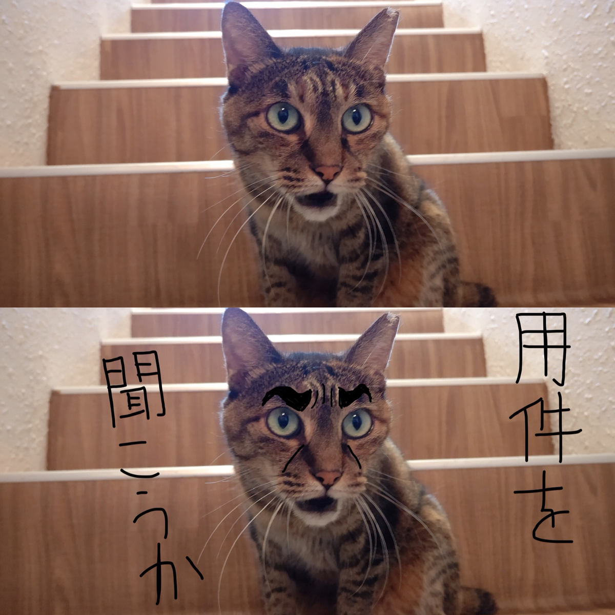 f:id:mikyo-ya:20200828103158j:plain