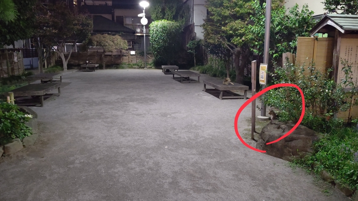f:id:mikyo-ya:20200917104827j:plain