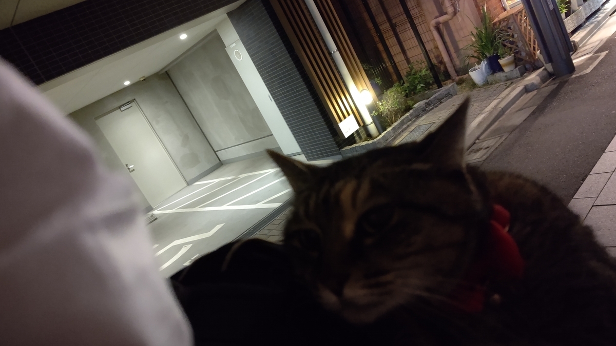 f:id:mikyo-ya:20201105105907j:plain f:id:mikyo-ya:20201105105907j:plain