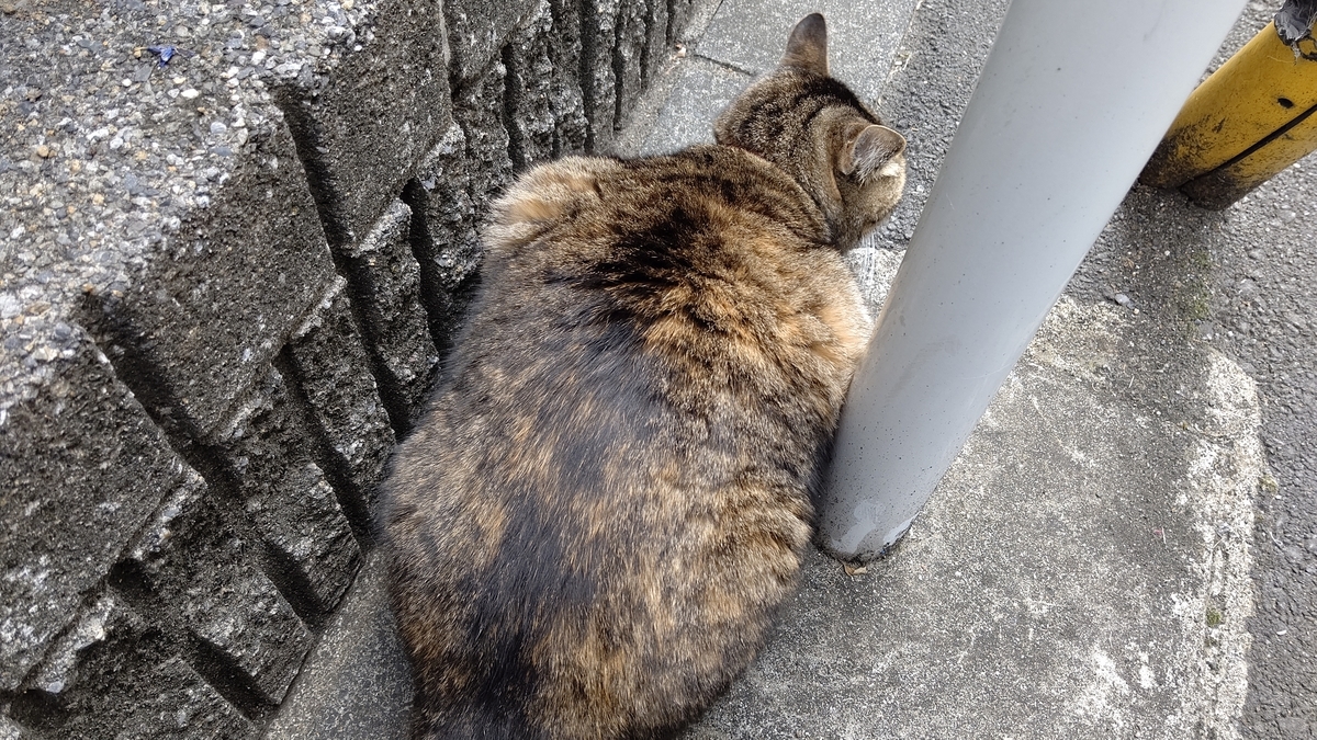 f:id:mikyo-ya:20201113110210j:plain