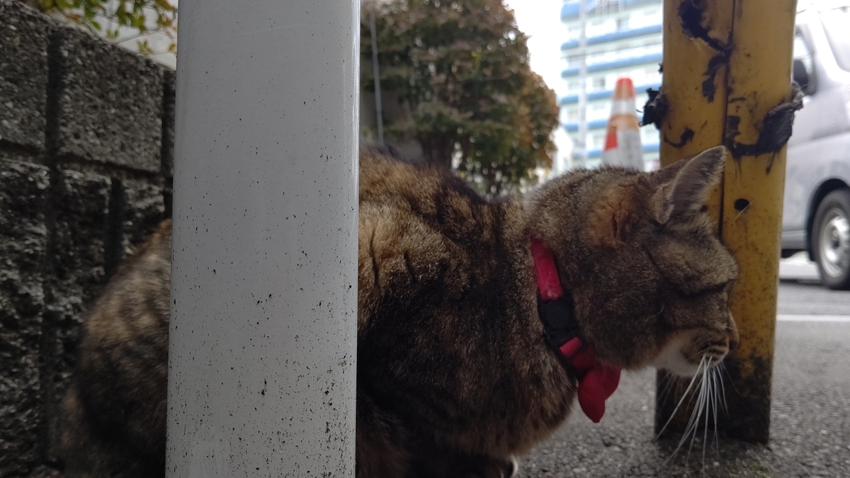 f:id:mikyo-ya:20201113110317j:plain